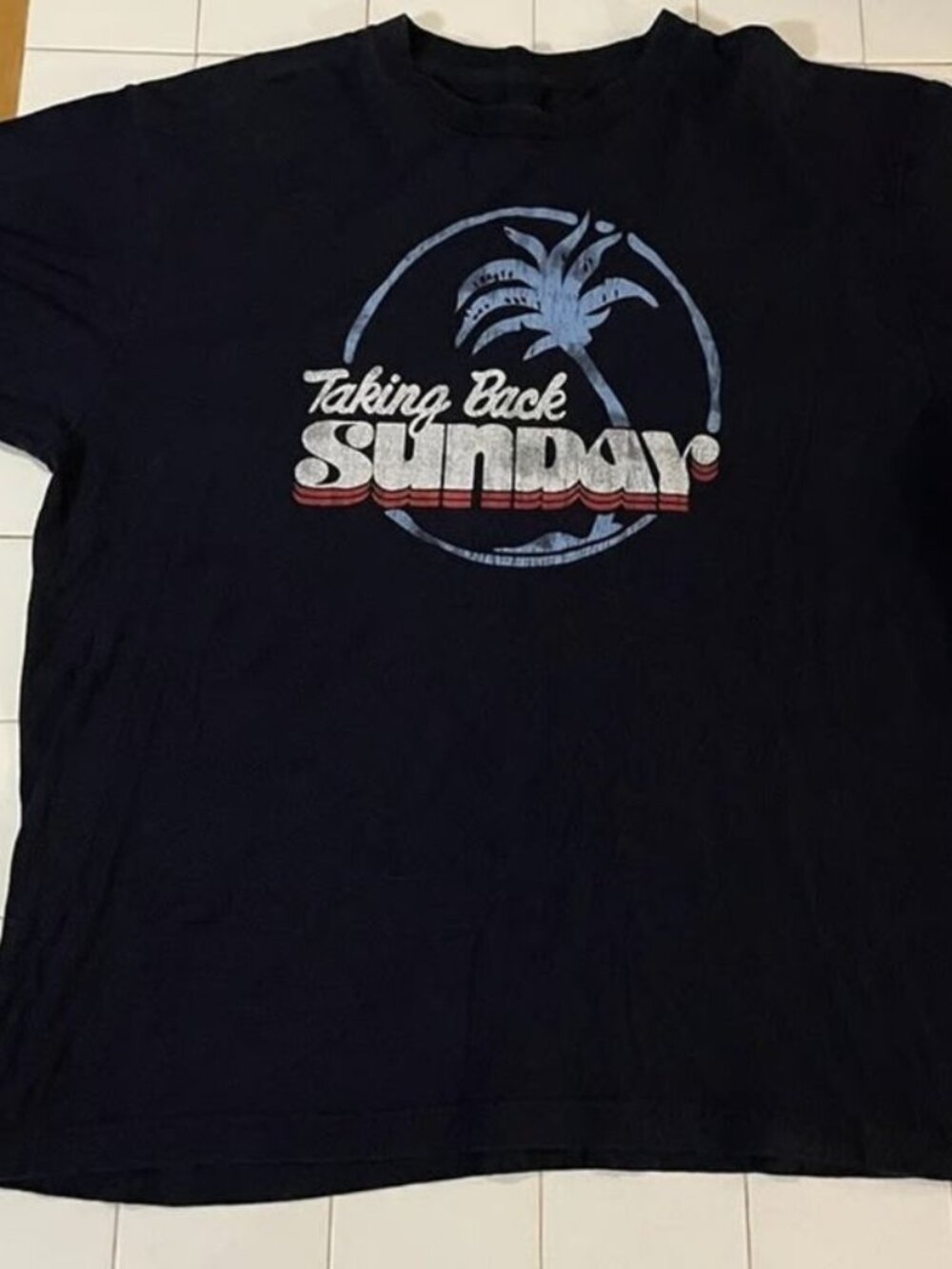 Taking Back Sunday Palm Tree Blue T-shirt